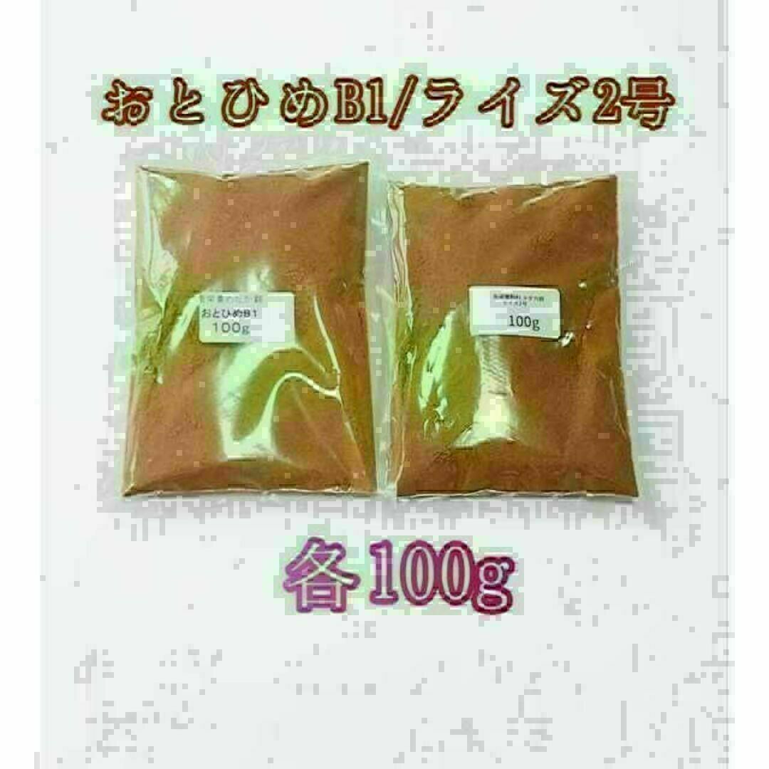 観賞魚餌 おとひめB1 ライズ2号 各100g 使い比べ 熱帯魚 グッピー その他のペット用品(アクアリウム)の商品写真