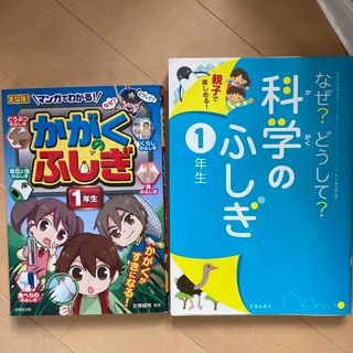 なぜ？どうして？科学のふしぎ　一年生(絵本/児童書)