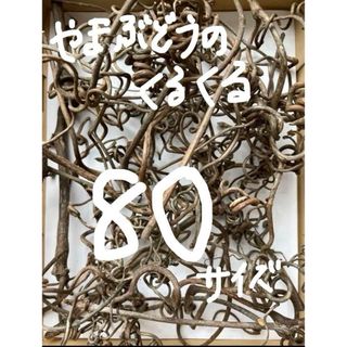 岩手県産山葡萄の蔓のくるくる★80サイズ★ハンドメイド★ドライフラワー(各種パーツ)