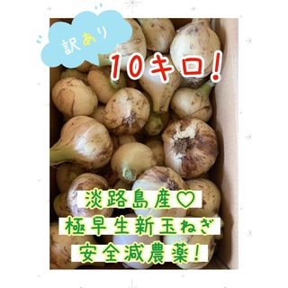 淡路島産♡新玉ねぎ！10キロ！おまけ付き(野菜)