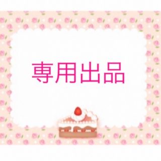 ことり様＊専用(ミニチュア)