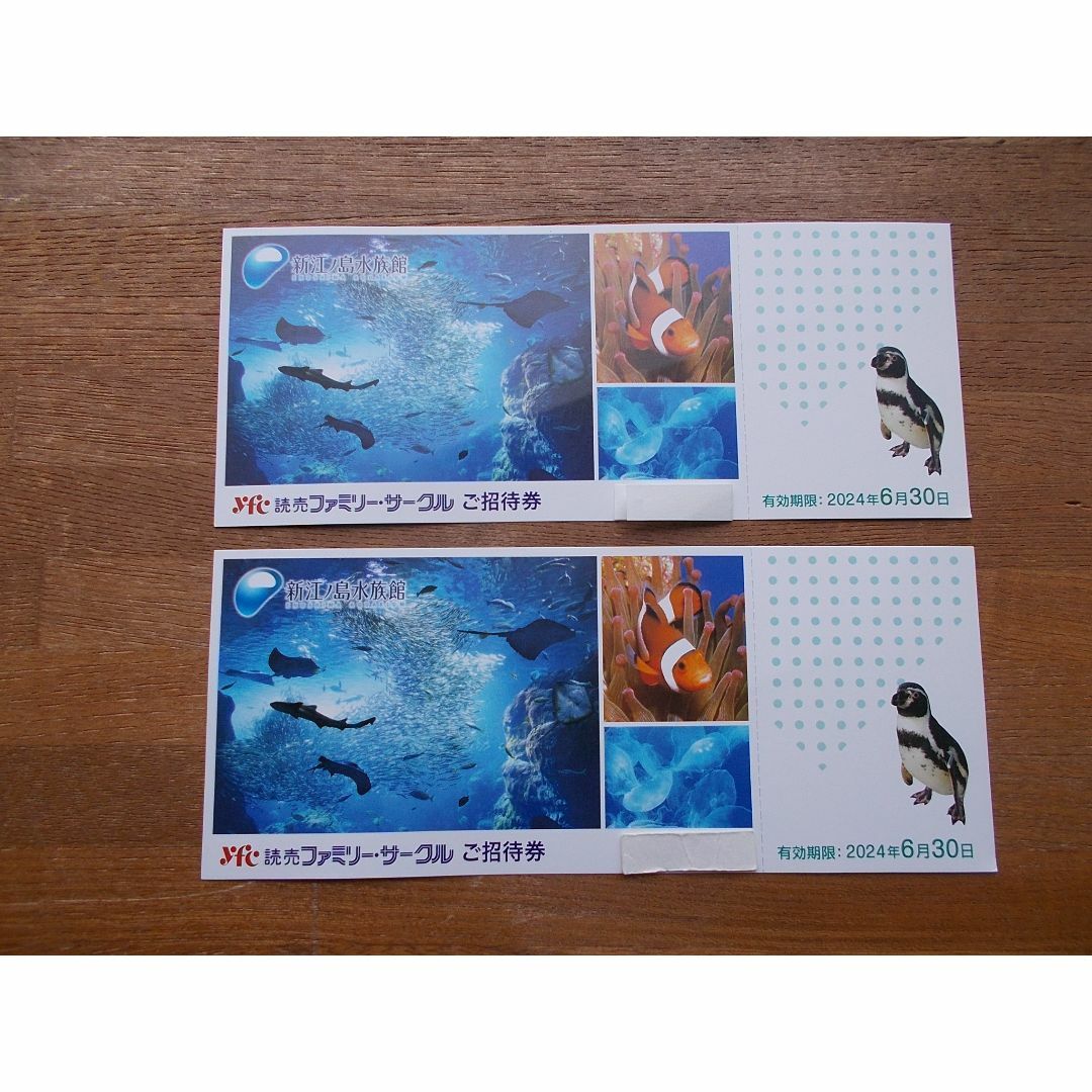 新江ノ島水族館　招待券２枚　６/３０迄 チケットの施設利用券(水族館)の商品写真