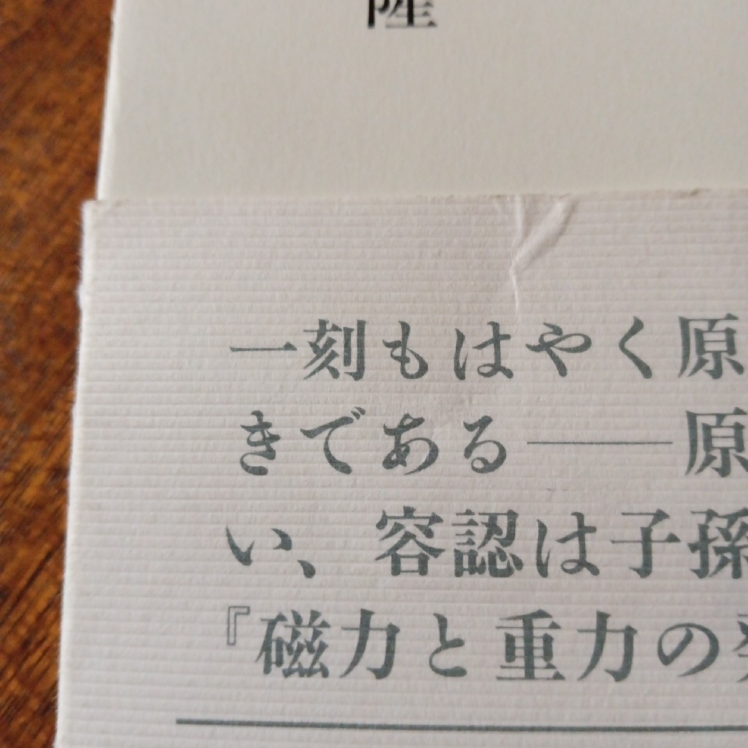 東大 : 東京大学情報本サクセスシリーズ 2013　福島の原発事故をめぐって エンタメ/ホビーの本(科学/技術)の商品写真