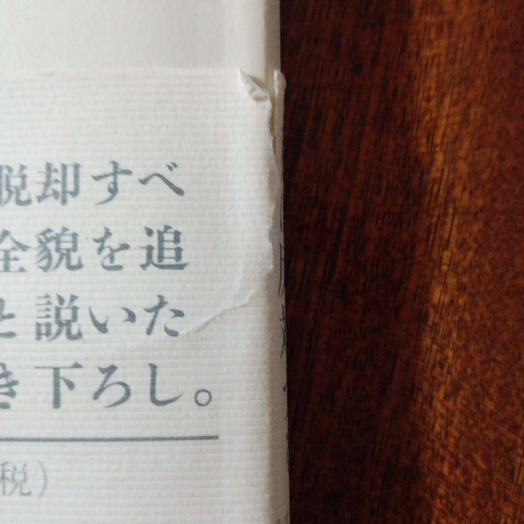 東大 : 東京大学情報本サクセスシリーズ 2013　福島の原発事故をめぐって エンタメ/ホビーの本(科学/技術)の商品写真