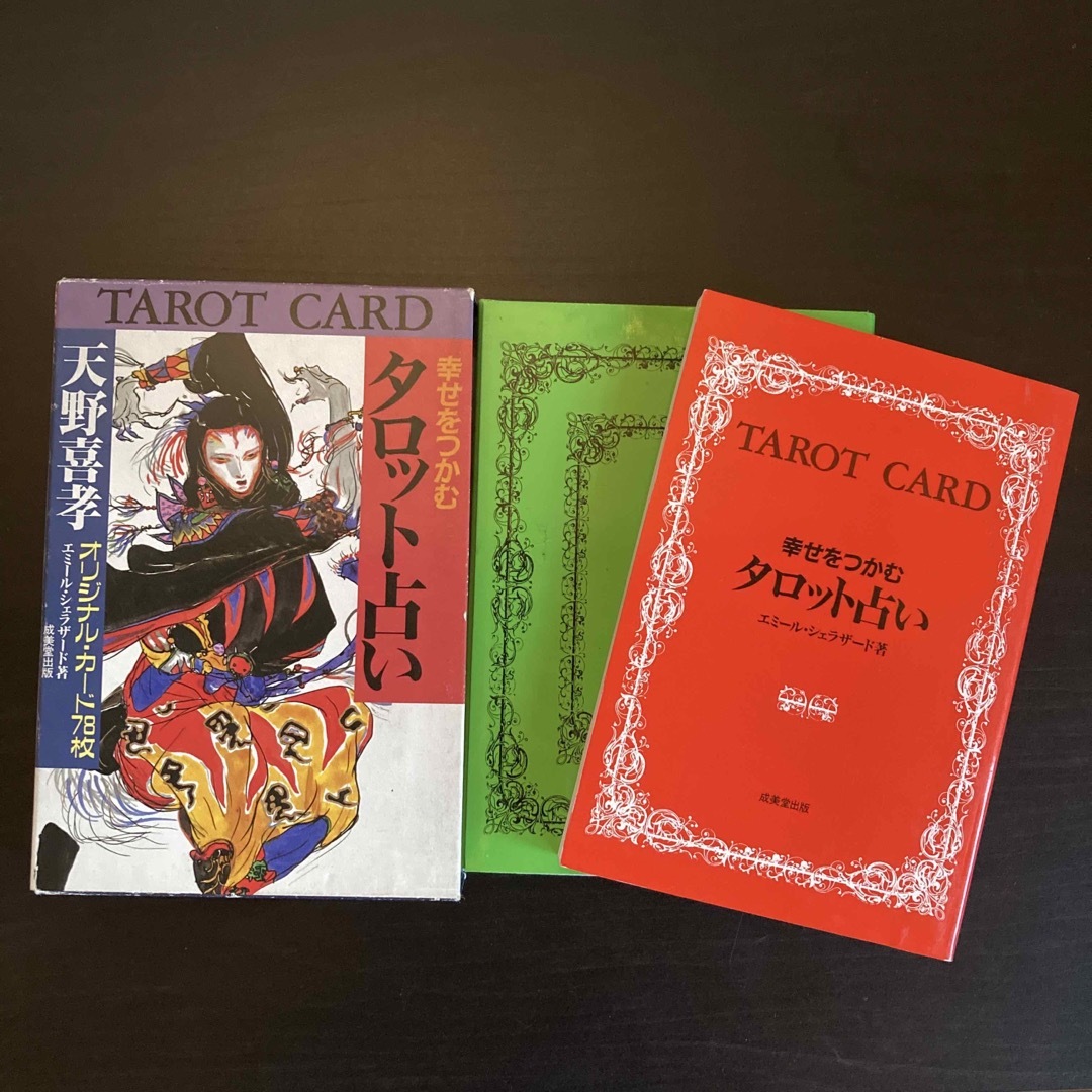 幸せをつかむ タロット占い 天野喜孝 エミール シェラザード　 エンタメ/ホビーの本(趣味/スポーツ/実用)の商品写真