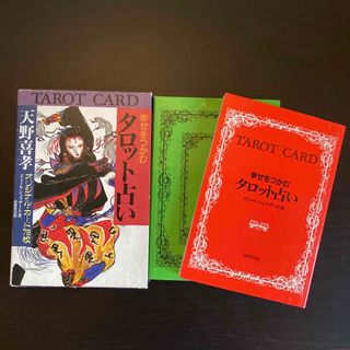 幸せをつかむ タロット占い 天野喜孝 エミール シェラザード　(趣味/スポーツ/実用)