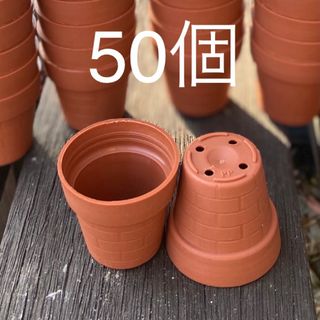 1号プラ鉢　一寸鉢　レンガ模様　50個セット　多肉植物