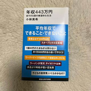 年収４４３万円　安すぎる国の絶望的な生活(その他)