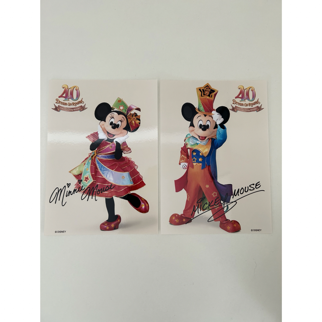 Disney(ディズニー)のスペシャルフォト ガーランドカード付き ディズニーランド 40周年 エンタメ/ホビーのコレクション(ノベルティグッズ)の商品写真