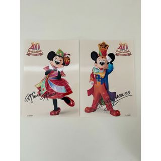 ディズニー(Disney)のスペシャルフォト ガーランドカード付き ディズニーランド 40周年(ノベルティグッズ)