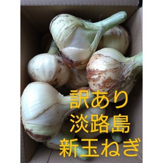 訳あり淡路島たまねぎ　5kg(野菜)