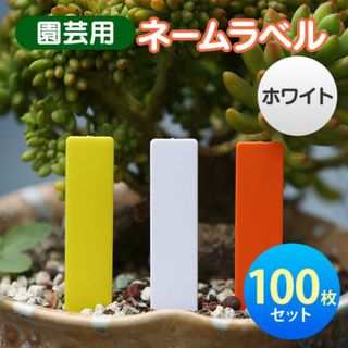 ネームラベル 植物 園芸 多肉植物 サボテン 花 鉢植え 家庭菜園 白 100枚