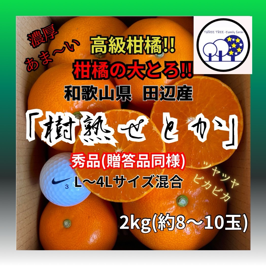 ③数量限定!和歌山県田辺産 せとか オレンジ みかん 蜜柑 柑橘 秀品2kg 食品/飲料/酒の食品(フルーツ)の商品写真