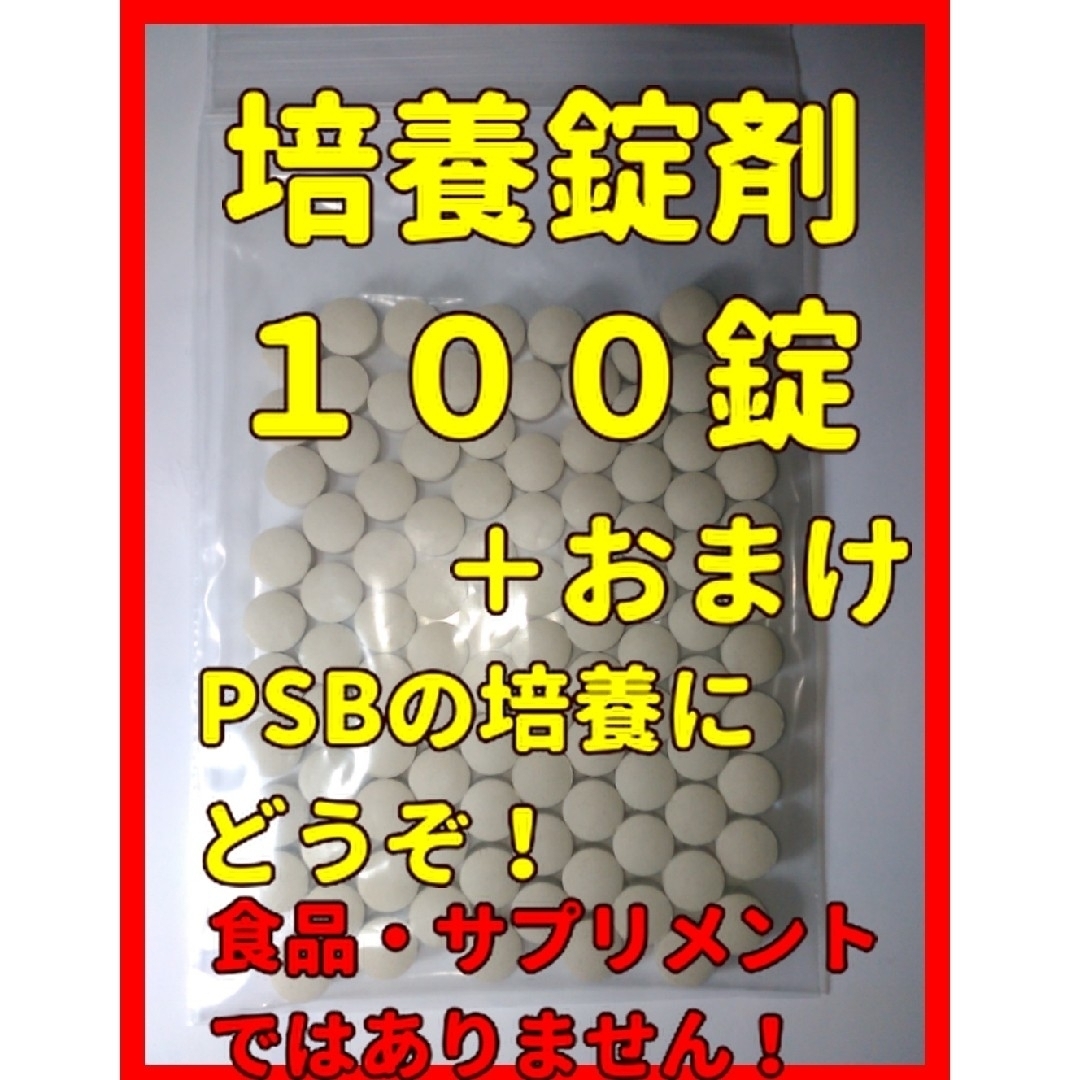 エビオス　１００錠➕α　検索　#エビオス　#ゾウリムシ　#種水　#PSB その他のペット用品(ペットフード)の商品写真