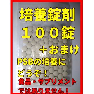 エビオス　１００錠➕α　検索　#エビオス　#ゾウリムシ　#種水　#PSB(ペットフード)