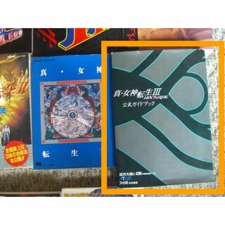 PS2 真・女神転生3 NOCTURNE 公式ガイドブック(趣味/スポーツ/実用)