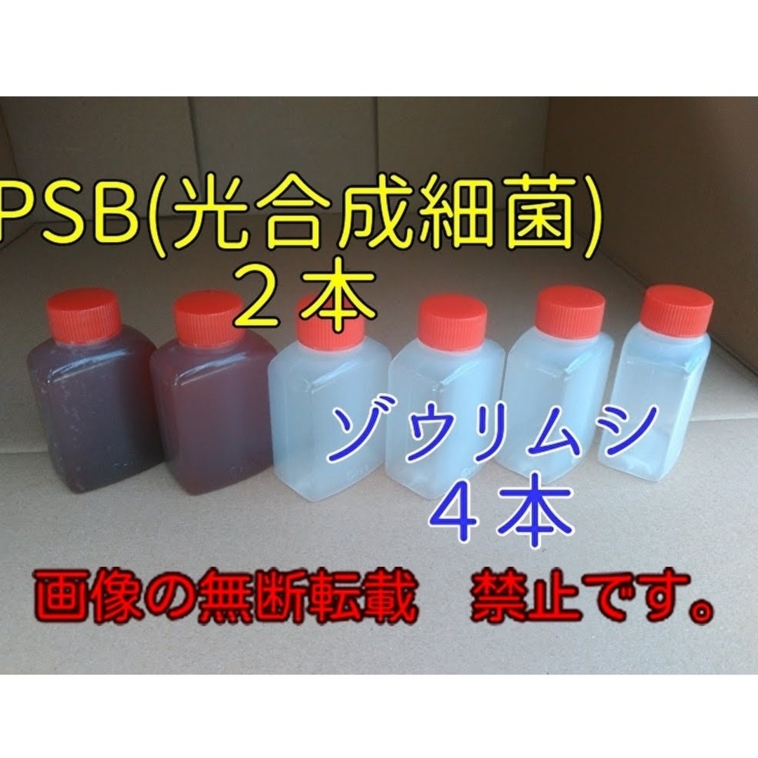 めだかの餌(２種類)　３３ml ×６本　#PSB #めだか#ミジンコ#針子#餌 その他のペット用品(アクアリウム)の商品写真