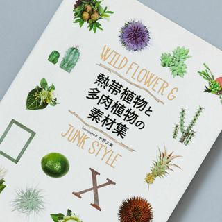 熱帯植物と多肉植物の素材集 : WILD FLOWER & JUNK STYLE(アート/エンタメ)