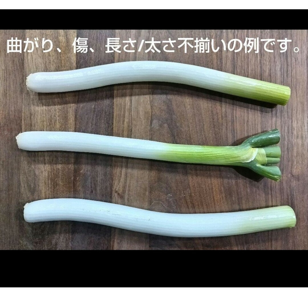 岡山県産　訳アリ　白ネギ　農家直送 食品/飲料/酒の食品(野菜)の商品写真