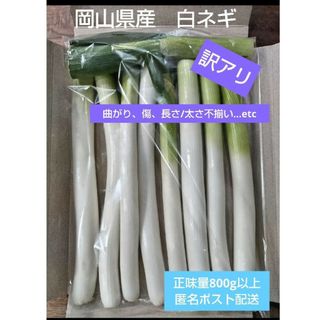 岡山県産　訳アリ　白ネギ　農家直送(野菜)