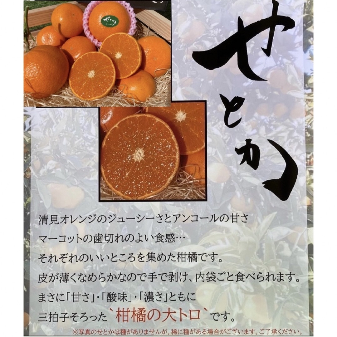 ②数量限定!和歌山県田辺産 せとか オレンジ みかん 蜜柑 柑橘 秀品4.5kg 食品/飲料/酒の食品(フルーツ)の商品写真
