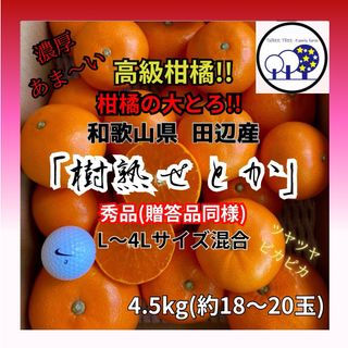 ②数量限定!和歌山県田辺産 せとか オレンジ みかん 蜜柑 柑橘 秀品4.5kg(フルーツ)