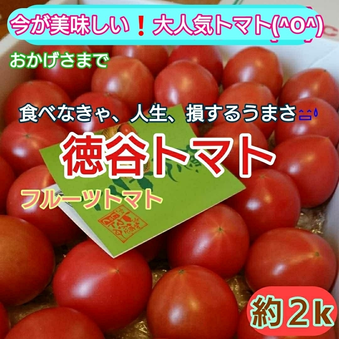 高知県産 徳谷トマト フルーツトマト 送料無料 約2kg 食品/飲料/酒の食品(野菜)の商品写真
