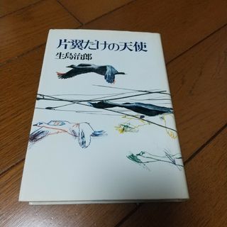 片翼だけの天使(文学/小説)