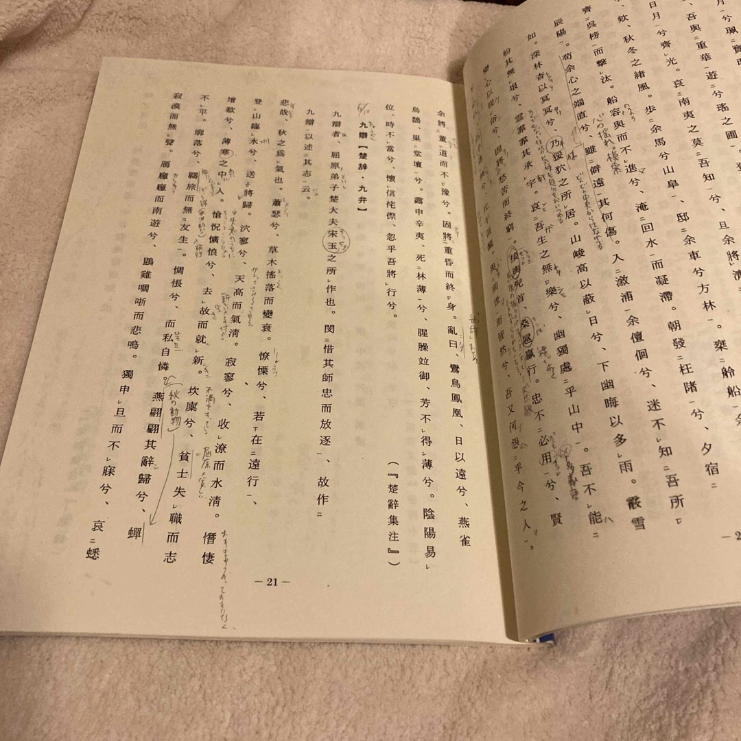 中國文學概説 エンタメ/ホビーの本(文学/小説)の商品写真