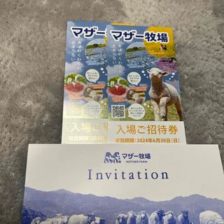 マザー牧場  入園券 2枚セット 6月30日迄　素早ご発送(遊園地/テーマパーク)