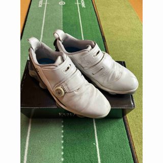 FootJoy - ゴルフ シューズ フットジョイ ツアーアルファ　デュアル BOA 26.5