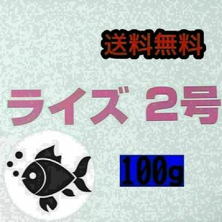 ライズ2号 100g 日清丸紅飼料 改良めだか グッピー 小型熱帯魚