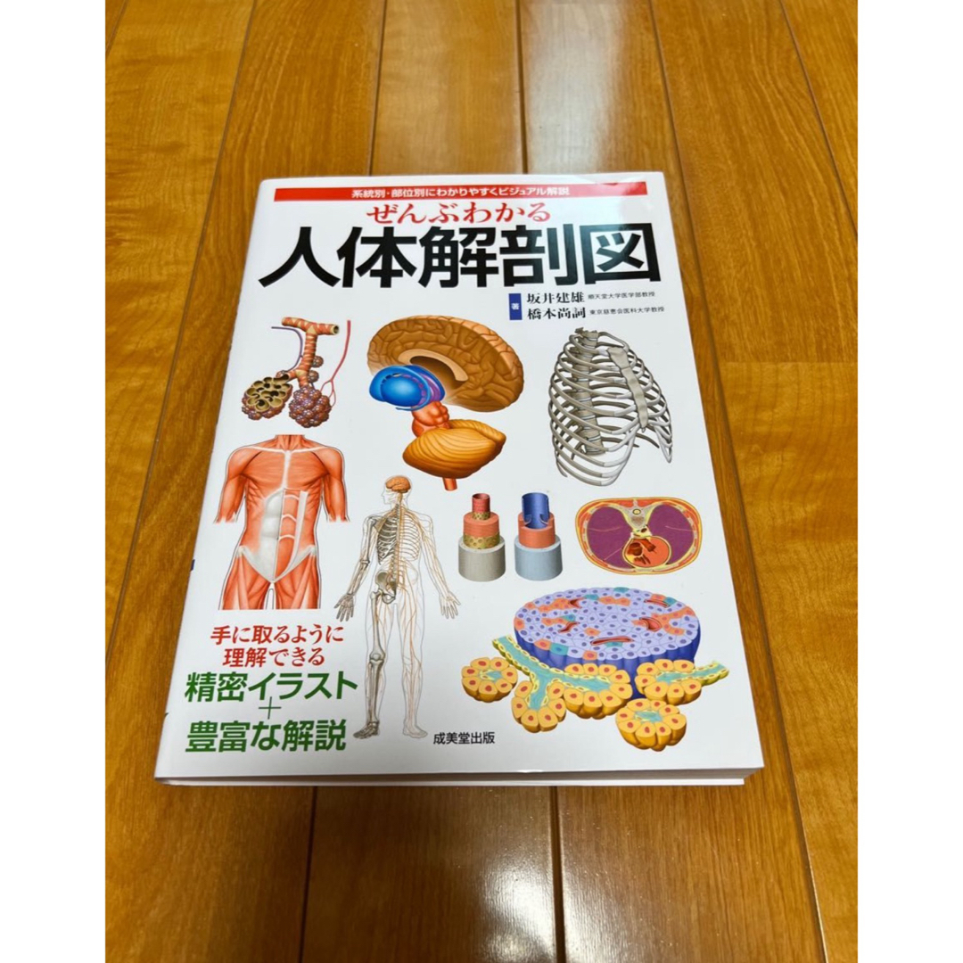 ぜんぶわかる人体解剖図 系統別・部位別にわかりやすくビジュアル解説 エンタメ/ホビーの本(健康/医学)の商品写真
