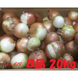 北海道産タマネギ　Ｂ品　20kg　農家直送(野菜)