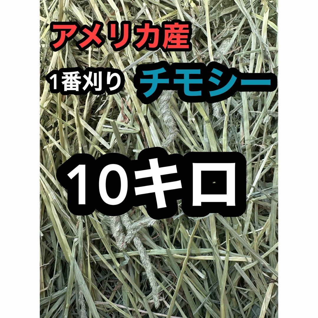 チモシー10キロ　ウサギ モルモット　デグー チンチラ １番刈 その他のペット用品(ペットフード)の商品写真