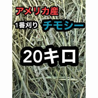 チモシー20キロ　ウサギ モルモット　デグー チンチラ １番刈(ペットフード)