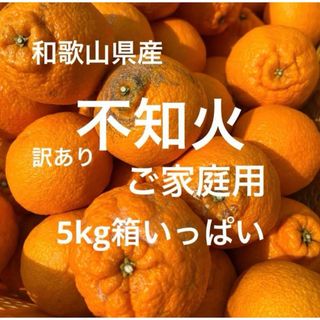 訳あり 不知火5kg箱いっぱい(フルーツ)