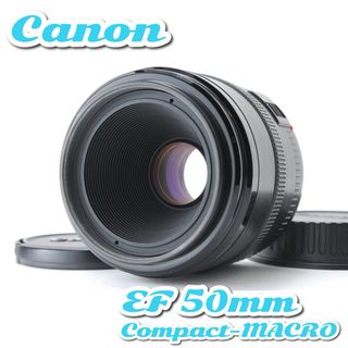 キヤノン(Canon)の✨極美品✨キャノン EF 50mm コンパクトマクロ★自然をクローズアップ！(レンズ(単焦点))