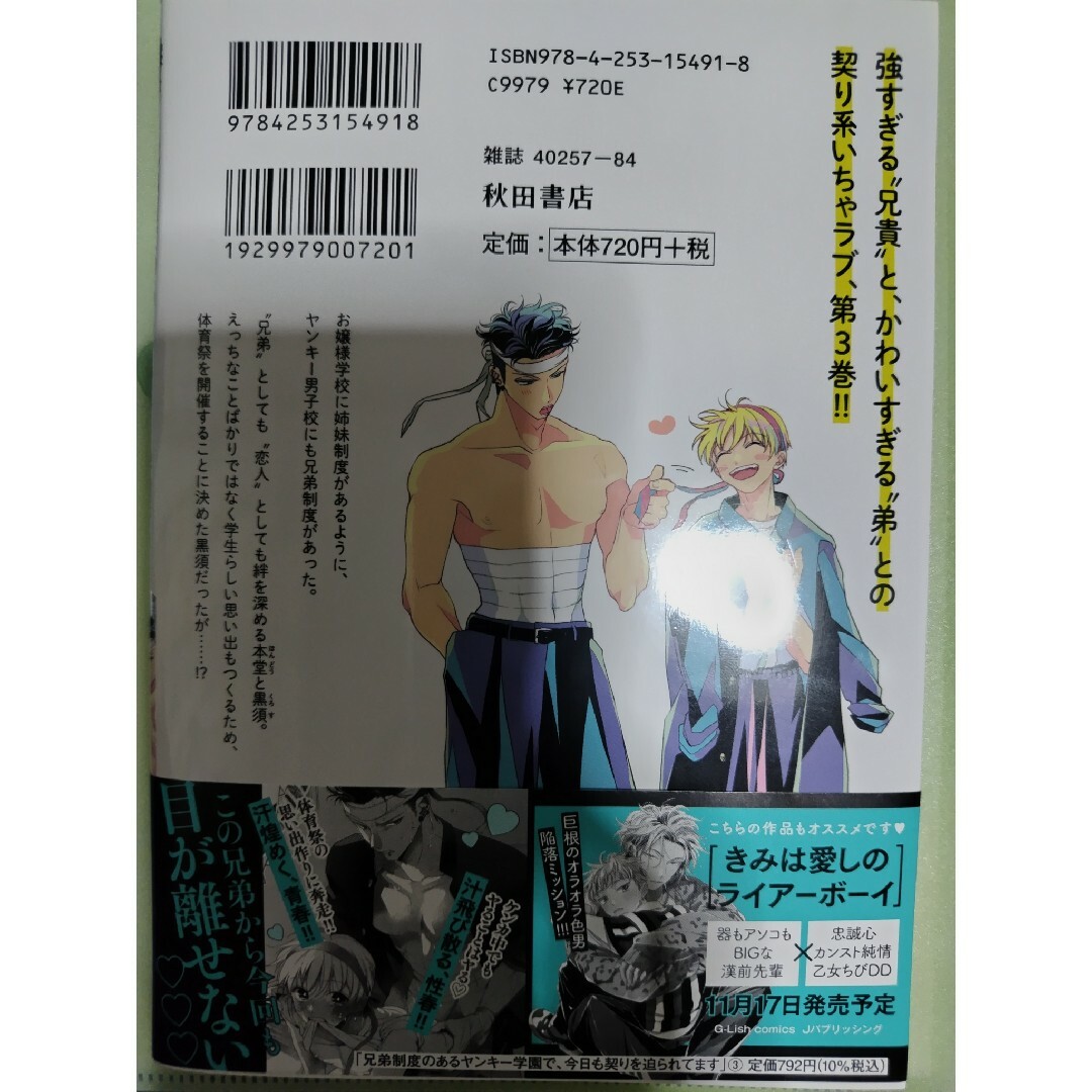 兄弟制度のあるヤンキー学園で、今日も契りを迫られてます エンタメ/ホビーの漫画(少女漫画)の商品写真