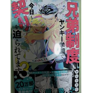 兄弟制度のあるヤンキー学園で、今日も契りを迫られてます(少女漫画)