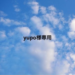 yupo様専用 オーダー　ハンドメイド巾着袋(外出用品)