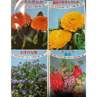 花の種　4種類(その他)