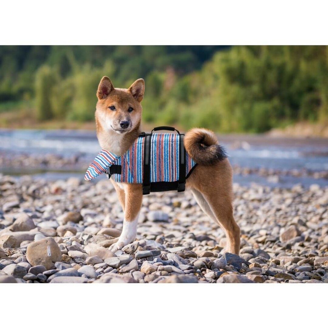 MARUKAN Group(マルカン)のMサイズ マルカン ライフジャケット  中型犬用　ペット　水遊び その他のペット用品(犬)の商品写真