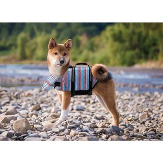 マルカン(MARUKAN Group)のMサイズ マルカン ライフジャケット  中型犬用　ペット　水遊び(犬)