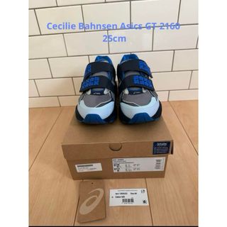 セシリーバンセン(CECILIE BAHNSEN)のCecilie Bahnsen Asics GT-2160 25cm(スニーカー)