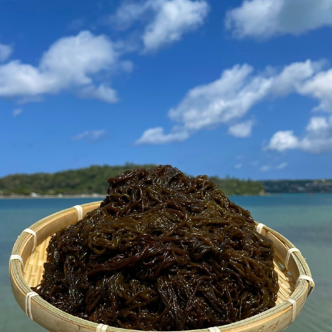 沖縄県産太もずく1kg(500g×2パック)太くて長～い塩蔵もずく♪送料無料！ 食品/飲料/酒の食品(野菜)の商品写真