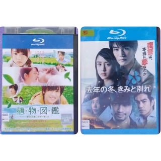 日本映画DVD　【岩田剛典出演　２本組】(日本映画)