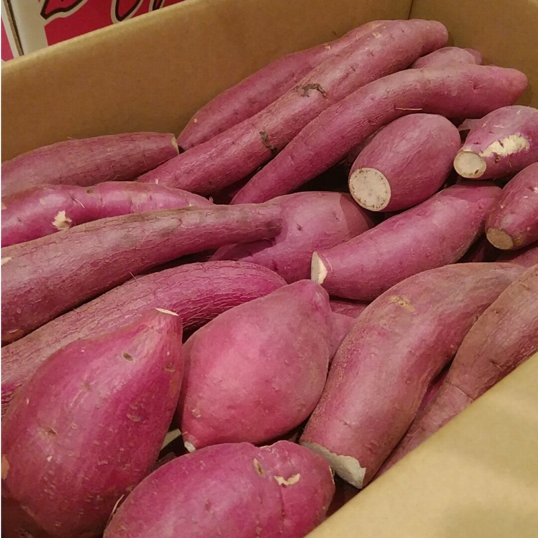 57 千葉県産　べにはるか　さつまいも　サツマイモ　Sサイズ　約4.4㎏ 食品/飲料/酒の食品(野菜)の商品写真