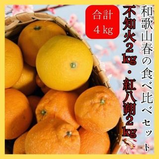 春の柑橘セット！デコポン 紅はっさく 訳あり 4㎏ 減農薬 大人気 和歌山(フルーツ)