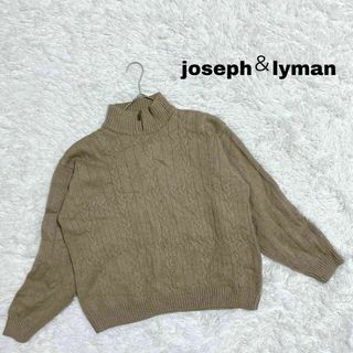 イタリア製joseph&lyman メリノウール ニットセーター 厚手c91(ニット/セーター)